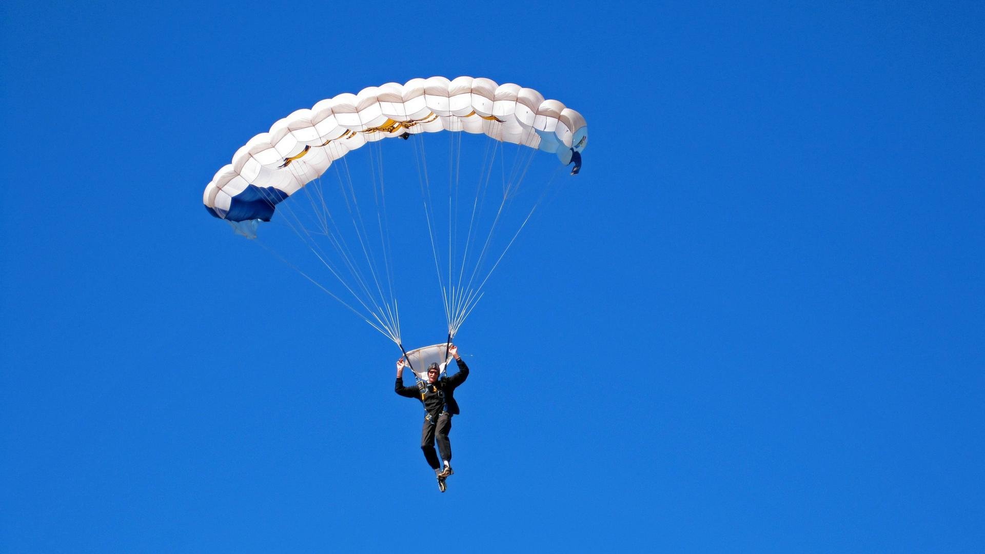 四国蝶泳划频对比揭示节奏差异,蝶泳四部分